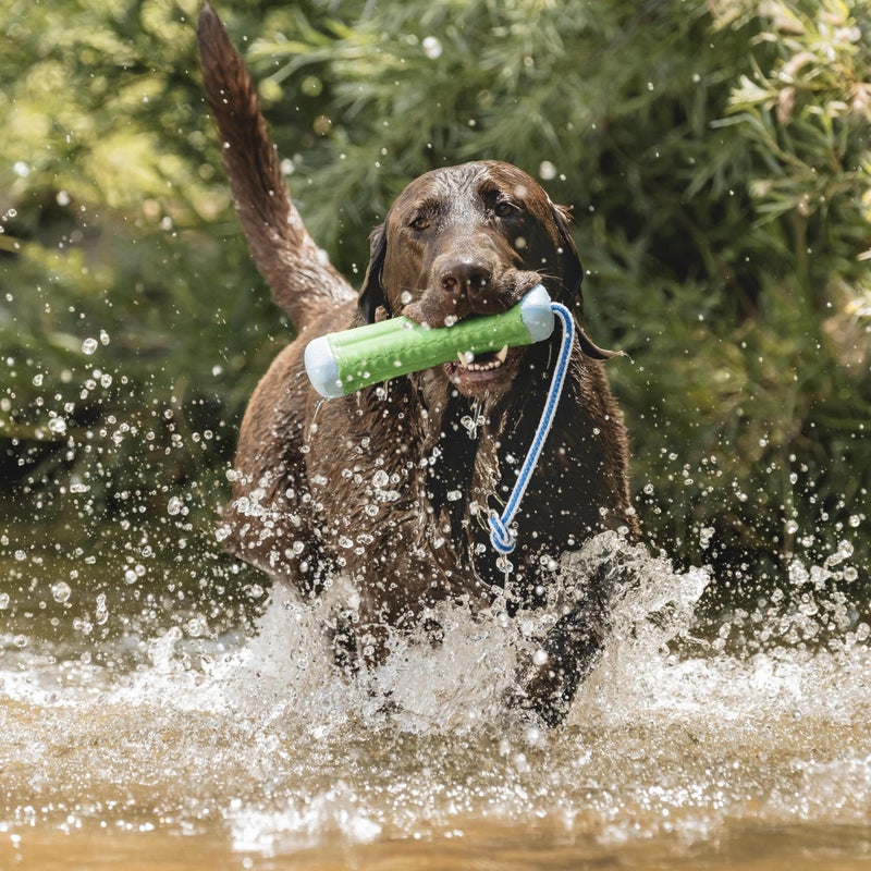 Chuckit! Amphibious Bumper Floating Fetch Dog Toy For Waterplay, Small For Dogs Up To 60 lb, 1.62"L x 8.5â€ H x 3.5" W, Assorted - Image 5